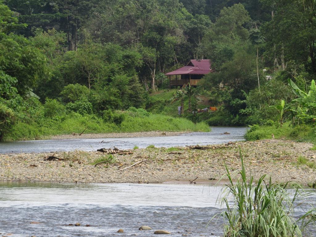 Batu Kapal Jungle Houses Hotel Berastagi Cameră foto