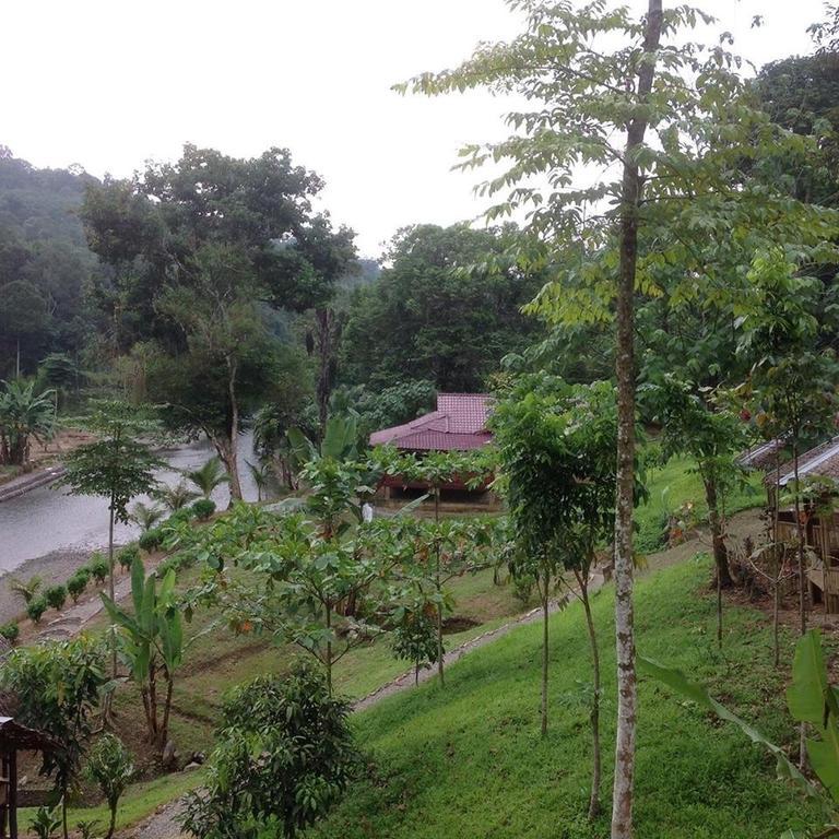 Batu Kapal Jungle Houses Hotel Berastagi Exterior foto